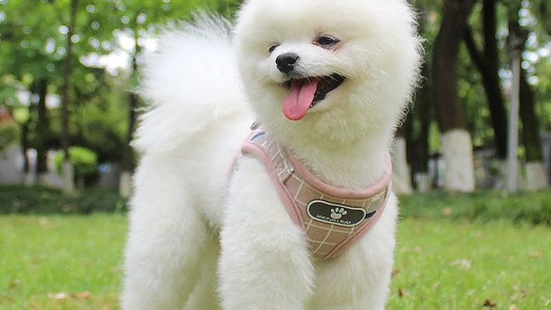 保鲜冷库安装施工：从方案到价格，全流程解析